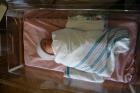 thumbs/IMG_0868.jpg